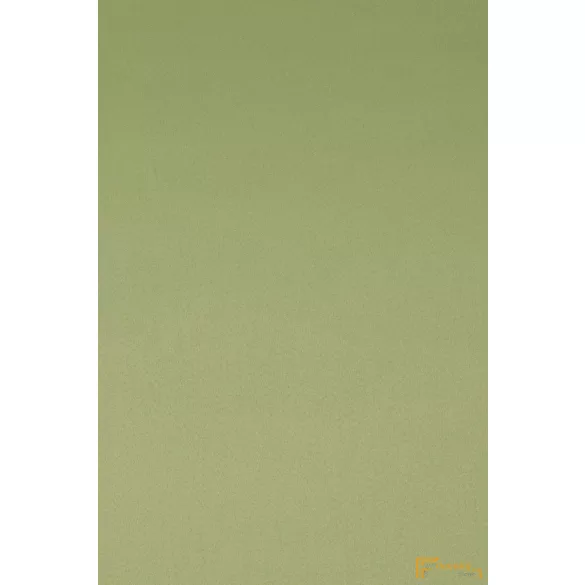(42 szín) DIM OUT FLORIAN 0317 (11) FR 150cm Halványzöld